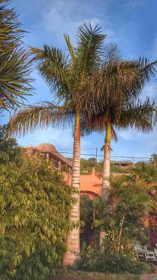 Great Views & Heated Pool - El Perenquen 2 Apartamento La Matanza De Acentejo